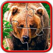 Bears Jigsaw Puzzles Brain Games for Kids FREE