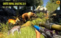 Wild Deer Hunting Adventure: Animal Shooting Games Screen Shot 5