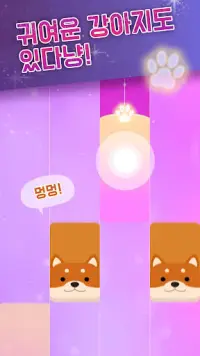 매직 캣 피아노 타일 - 펫 피아니스트 탭탭 동물타일 Screen Shot 1