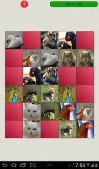 Animals Matching Game Screen Shot 14