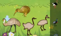 Birds Game for Toddlers Puzzle Screen Shot 2