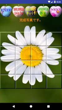 Sliding Puzzle 花のスライドパズル Screen Shot 5