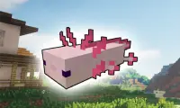 Axolotls Mod for Minecraft PE Screen Shot 2