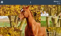 Horse Puzzles Free Screen Shot 1