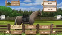 Pony Trails Screen Shot 6