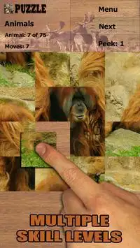 Animali puzzle Screen Shot 1