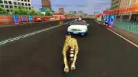 Animal Friends Rush : Fun Run Racing Game Screen Shot 5