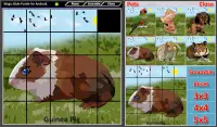 Magic Slide Puzzle Pets Screen Shot 4