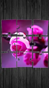 Roses Jigsaw Puzzle Game Screen Shot 0