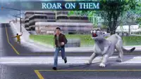 Polar Lion Sim Screen Shot 1