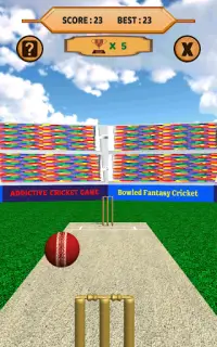 Bowled 3D - Cricket Game Screen Shot 14