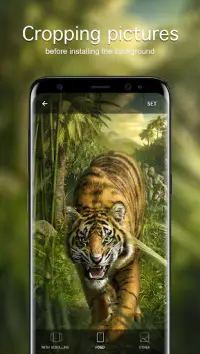 Tiger Wallpapers 4K Screen Shot 3