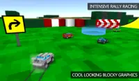 Blocky Rally Racing Screen Shot 1