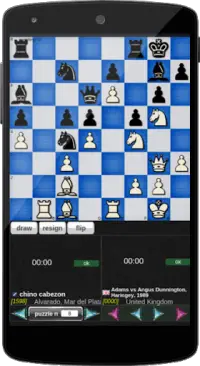 Standard Chess Screen Shot 6