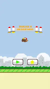 Rocket Hedgehog Screen Shot 0