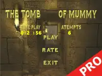 The Tomb of Mummy PRO free Screen Shot 0