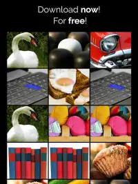 CAR & ANIMAL MEMORY FREE: COLORFUL GAME FOR ADULTS Screen Shot 9