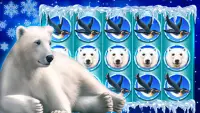 Polar Bear: Free Slots Casino Screen Shot 0