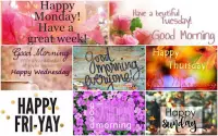 Greeting Cards All Occasions Screen Shot 13