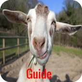 Guide for Nasty Goats