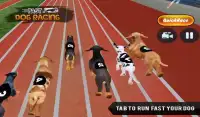 Fast Dog Racing 3D Screen Shot 5