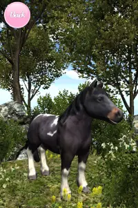 My Pony: Little Adventure Farm Screen Shot 2