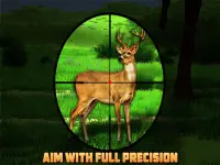 Real Safari Hunter 2020: Wild Animals Shooting Screen Shot 3