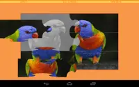 puzzle burung Screen Shot 8