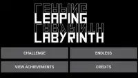 Leaping Labyrinth Screen Shot 0