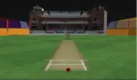 Gerçek Kriket Dışarı koşmak şampiyonluk Screen Shot 1