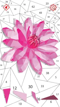 Flower Polygon Puzzle By Number Screen Shot 3