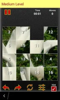 Tulip Jigsaw Puzzles Screen Shot 5