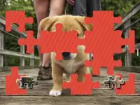 子犬のジグソーパズル無料 Screen Shot 4