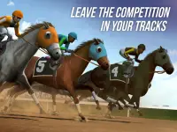 Photo Finish Horse Racing Screen Shot 8