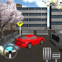 Auto-Parken Real 3D