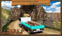 Truck Driver 3D Offroad Screen Shot 16