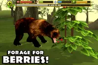 Wildlife Simulator: Bear Screen Shot 4