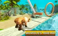 Bear Water Race Screen Shot 2