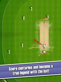 New Star: Cricket Screen Shot 7
