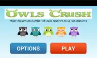 Owls Birds Crush Screen Shot 0
