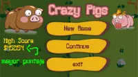 Crazy Pigs Screen Shot 3
