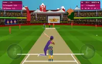 Indian Cricket Premium League Screen Shot 13