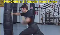 Shaolin Kung Fu Screen Shot 3