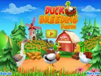 Duck Breeding Farm Screen Shot 0