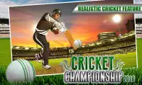 World Cricket Skills 2016 Cup Screen Shot 3