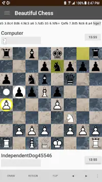 ♛ Beautiful Chess: Play Free Online, OTB, vs CPU Screen Shot 2