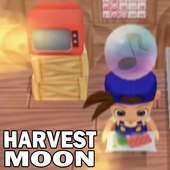Best Harvest Moon Trick