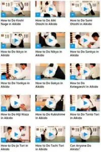 Aikido Lessons Screen Shot 1