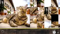 틀린그림찾기 : 고양이 퍼즐 Screen Shot 6