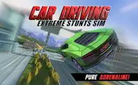 Car driving extreme stunts sim Screen Shot 0